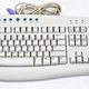 Illustration for article titled Every Single Microsoft Device. Ever.